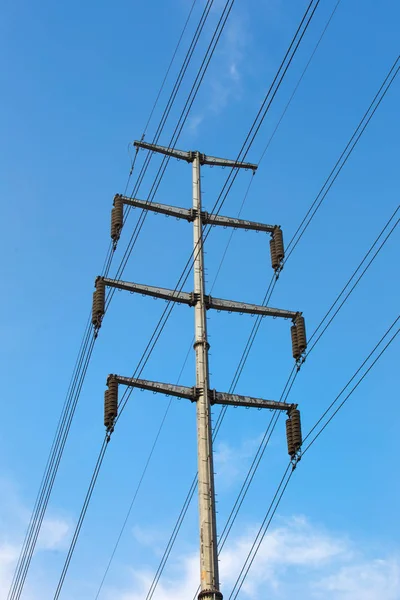 Grote Uitzicht Het Elektriciteitsnet Het Veld — Stockfoto