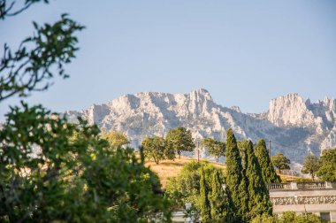 Bir tepenin eteklerinde, Alupka, Crimea ağaçta