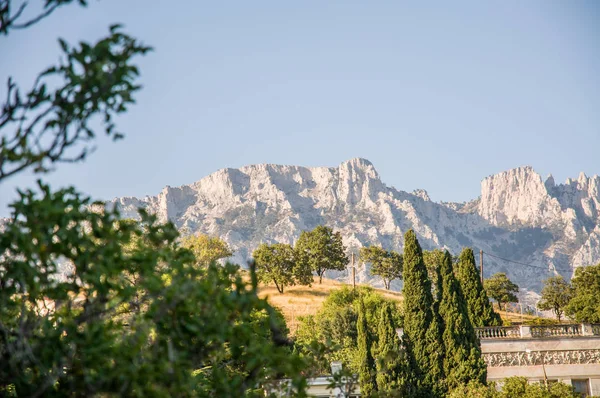 Trees on a hill, foothills, Alupka, Crimea