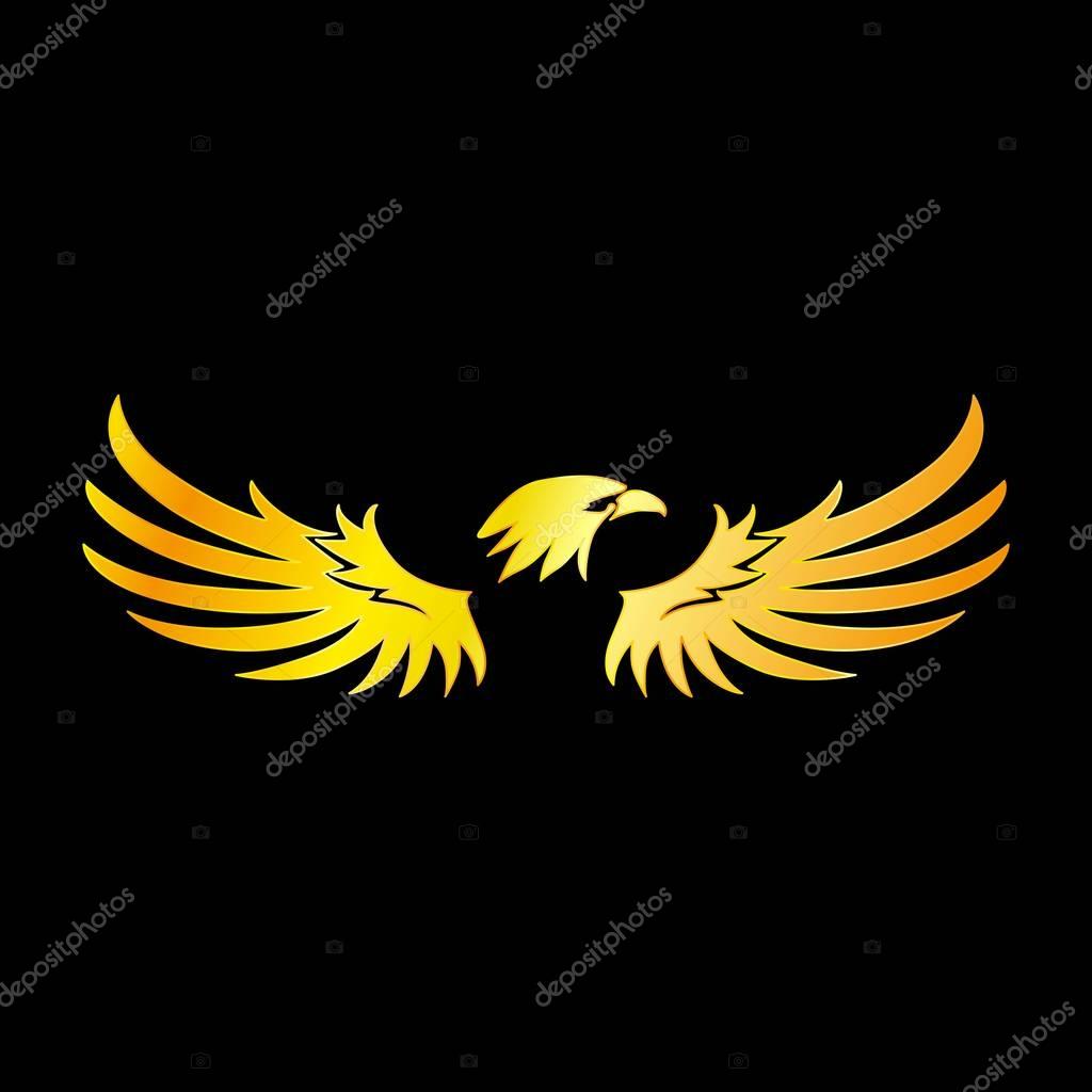 Golden Eagle with Black Background, Vector, Illustration
