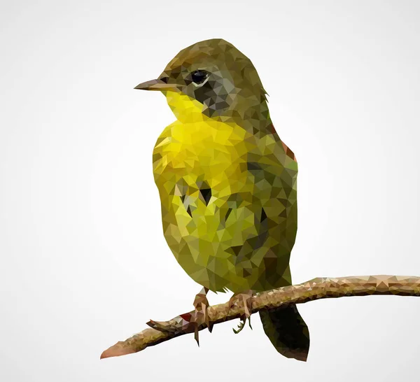 Barevné Polygonální Pták Soubor Eps Vektorové Ilustrace — Stockový vektor