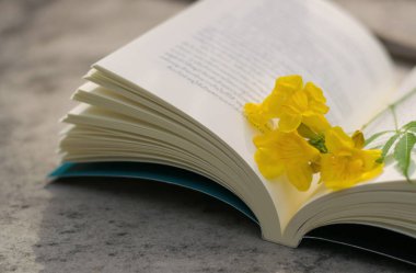 En sevdiğim kitaplar ile rahatlatıcı tatil