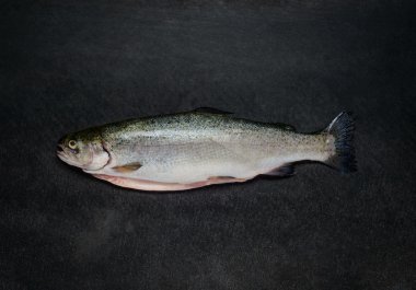 Koyu arka plan üzerinde taze alabalık balık