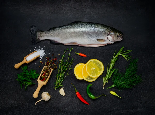 Pesce di trota crudo e ingredienti di cottura — Foto Stock