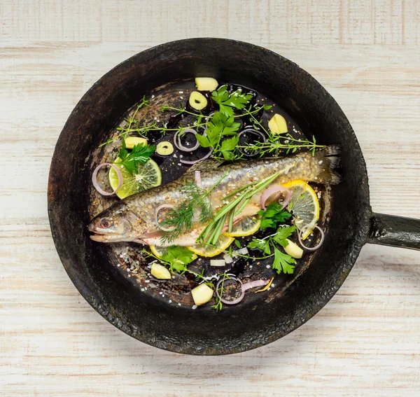 Regenbogenforellen-Fisch in der Pfanne mit Kräutern und Gewürzen — Stockfoto