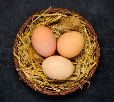 tavuk nest yumurta