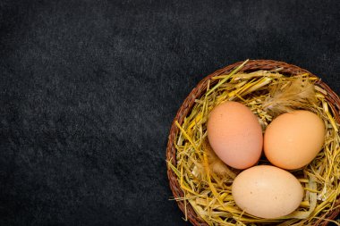 Kopyalama alanı alanı ile organik yumurta