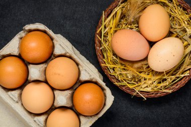 oeufs de poulet bio