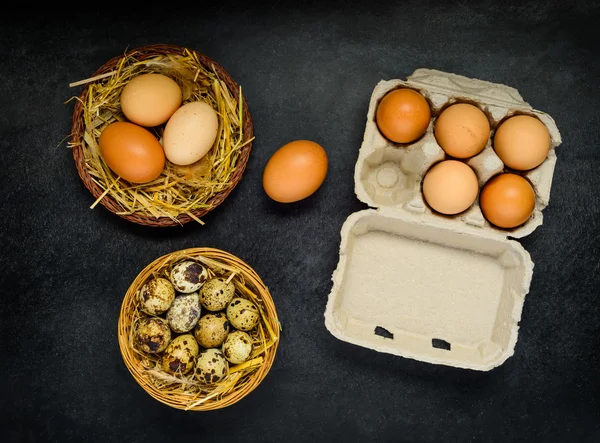 Huevos en caja y nido — Foto de Stock