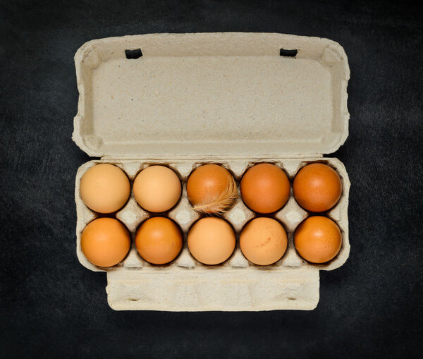 Chicken Eggs in Egg Carton Box