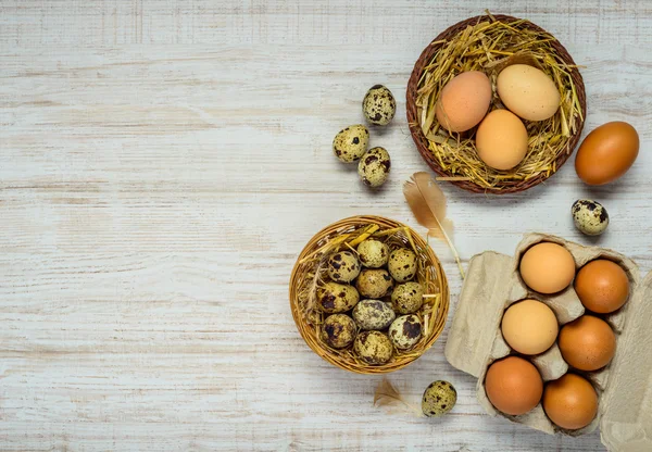 Nest mit Wachteln und Hühnereiern auf Kopierfläche — Stockfoto