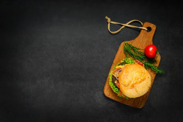 Kopya alanı ile Burger sandviç