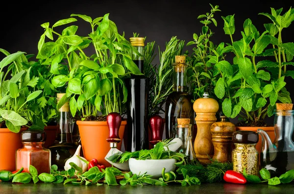 Still Life with Fresh Cooking Ingredients and Herbs Stock Picture
