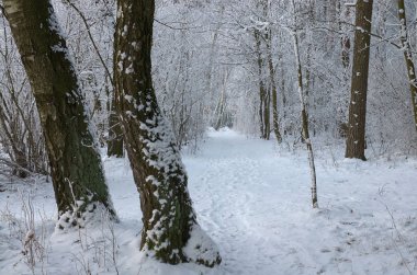 Bir kış yürüyüş için davet
