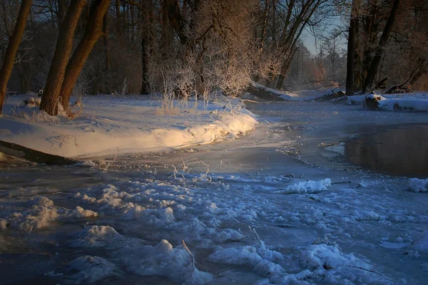Το πρωί στον ποταμό πάγο 2 — Φωτογραφία Αρχείου
