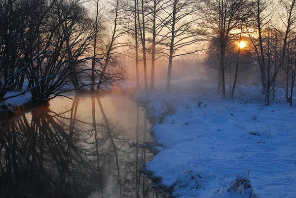 Морозное утро на реке — стоковое фото