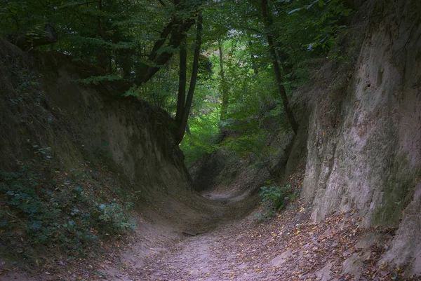 Geçit kök aşağı 6