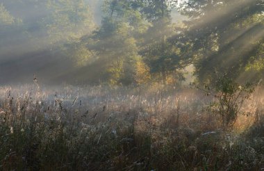 Işınları yaz sabahı