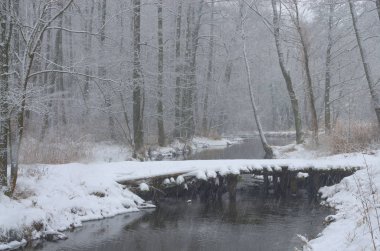Kışın eski köprü