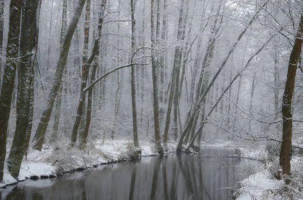 Χειμερινή Όχθη Του Ποταμού Ndznica Στο Lublin — Φωτογραφία Αρχείου