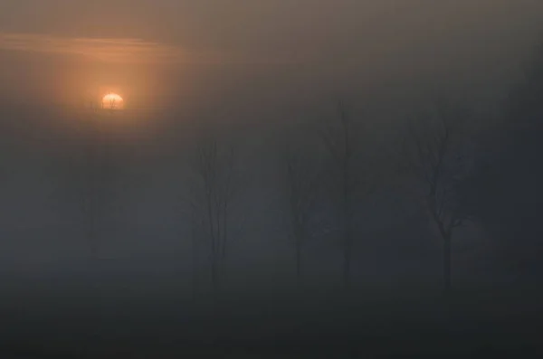 Foggy Matin Dans Gorge Lublin — Photo