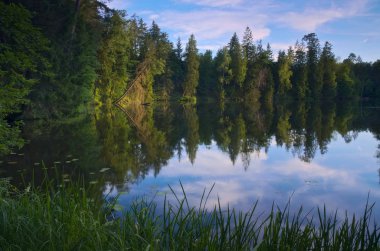 Polonya 'da Warmia' da büyüleyici bir köşe.