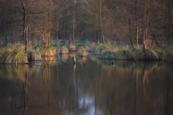 Orangefarbenes Ufer Bei Sonnenaufgang — Stockfoto