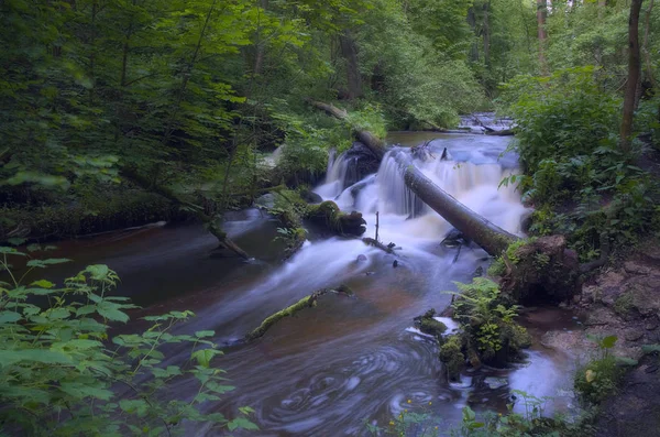 Roztocze 'deki Szum deresinde küçük bir şelale.