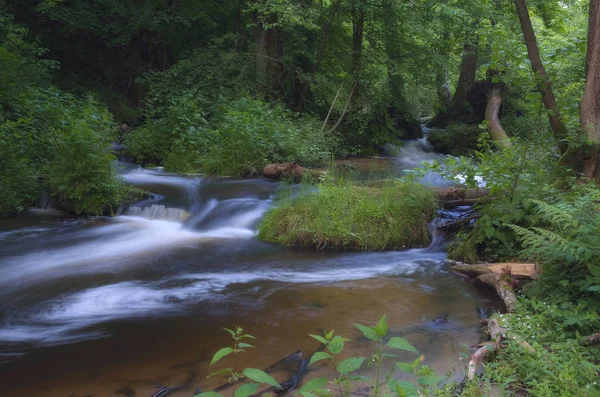 Gürültü Deresi bölünür ve birleşir