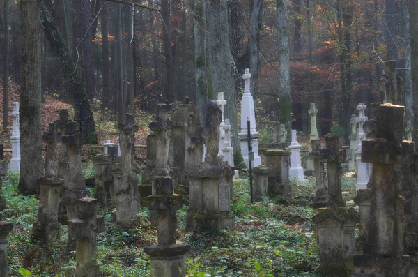 Unutulmuş eski orman mezarlığı