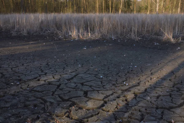 Kuraklık. Bir yıl önce burada bir göl vardı.