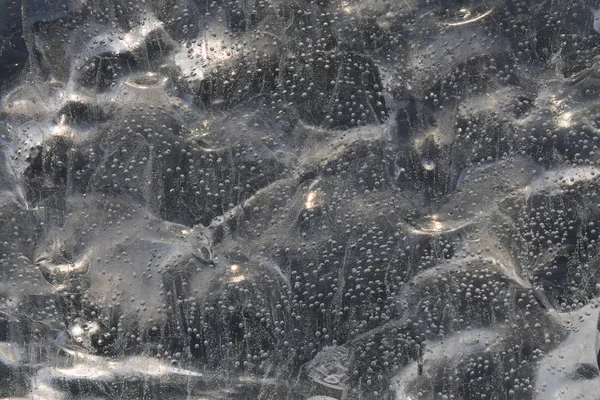 Buza hapsolmuş kabarcık çılgınlığı