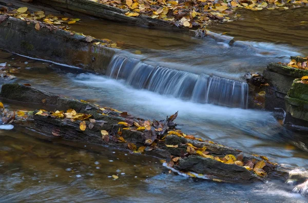 Bir dağ deresinde sonbahar şelalesi