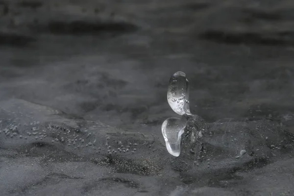 Buz çiçeği, doğanın bir mucizesi.