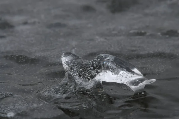 Buz mühürü buza zincirlenmiş.