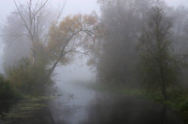 Autumn river - 5 years later