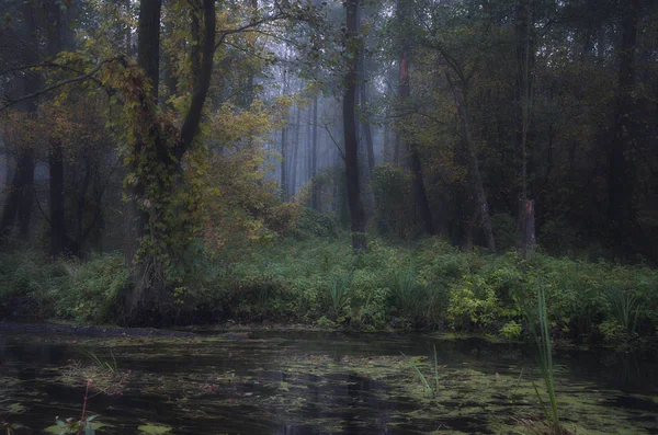 Anderen Ufer Des Flusses — Stockfoto