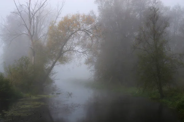 Осенняя Река Лет Спустя — стоковое фото