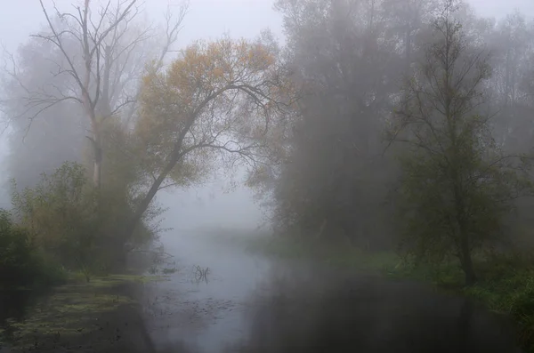 Herfst Rivier Jaar Later — Stockfoto