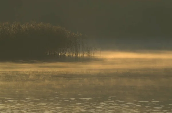 Eerste Zonnestralen Een Dampend Meer — Stockfoto