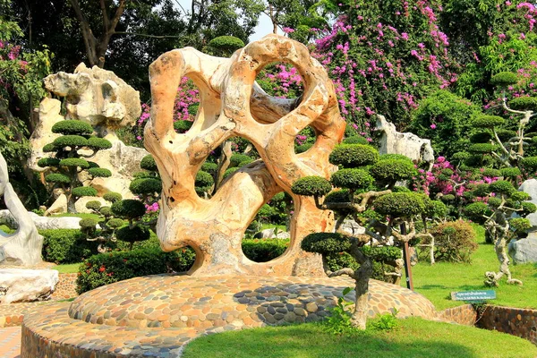 石および景色公園、タイの珍しい形の木. — ストック写真