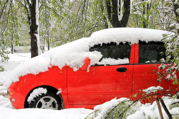 Червоний, Засипаний снігом автомобіль. — стокове фото