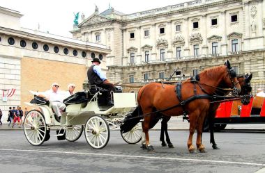  Yaşlı turistler yürüyen bir antrenöre binmek ve bir seyis-rehber dinle.