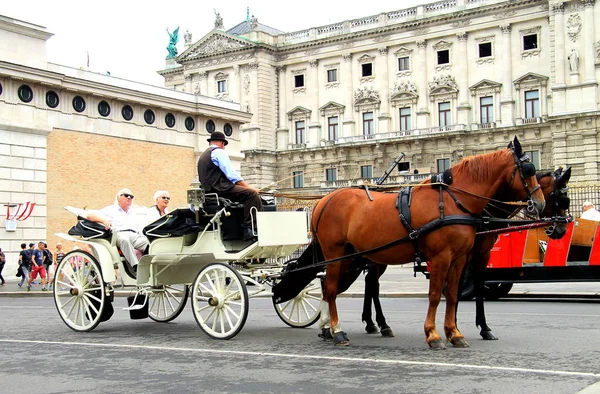  Yaşlı turistler yürüyen bir antrenöre binmek ve bir seyis-rehber dinle.