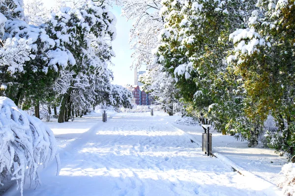Paisaje Invernal Ciudad Dnipro Cubierto Nieve Heladas Vista Del Parque — Foto de Stock