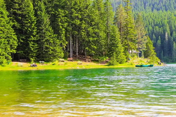 Ein Malerischer Bergsee Umgeben Von Kiefernwäldern Montenegro Europa Der Adriatischen — Stockfoto