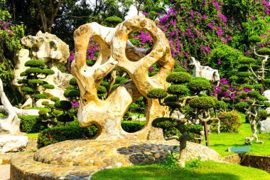 Olağandışı taşlar ve ağaçlar tropikal Bahçe Tayland,