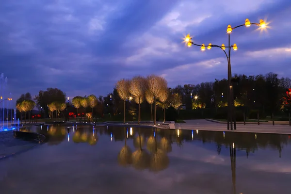 Прекрасний Басейн Ландшафтному Парку Вночі Тлі Красивих Хмар Дерева Відбиваються — стокове фото