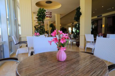 Pembe zakkum çiçekli pembe bir vazo güzel bir kafe, restoran ve beyaz sandalyeli zarif bir iç mekanın arka planında duran ahşap yuvarlak bir masanın üzerinde duruyor.