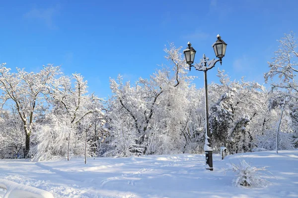 Een Pittoresk Winterpark Landschap Bomen Bedekt Met Sneeuw Met Lantaarn — Stockfoto